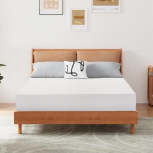 Are you wondering, "How long is a T75/12in size bed?" If you're in the market for a new bed or just curious about bed sizes, understanding the dimensions of a T75/12in bed is crucial