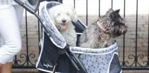 how is moroco premium dog stroller different than gen7 moroco